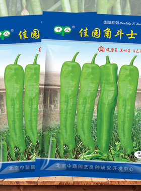 佳园角斗士羊角椒种子辣椒早熟黄绿色大果四季春夏秋冬籽蔬菜种孑