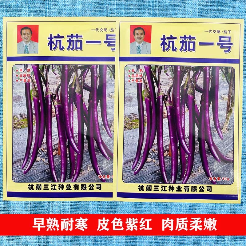 杭茄一号长茄种子种籽苗早熟四季播种春秋露地栽培蔬菜茄子线茄苗,鲜花速递/花卉仿真/绿植园艺,家庭园艺种子,淘宝优惠券,粉丝福利购,淘宝优惠卷