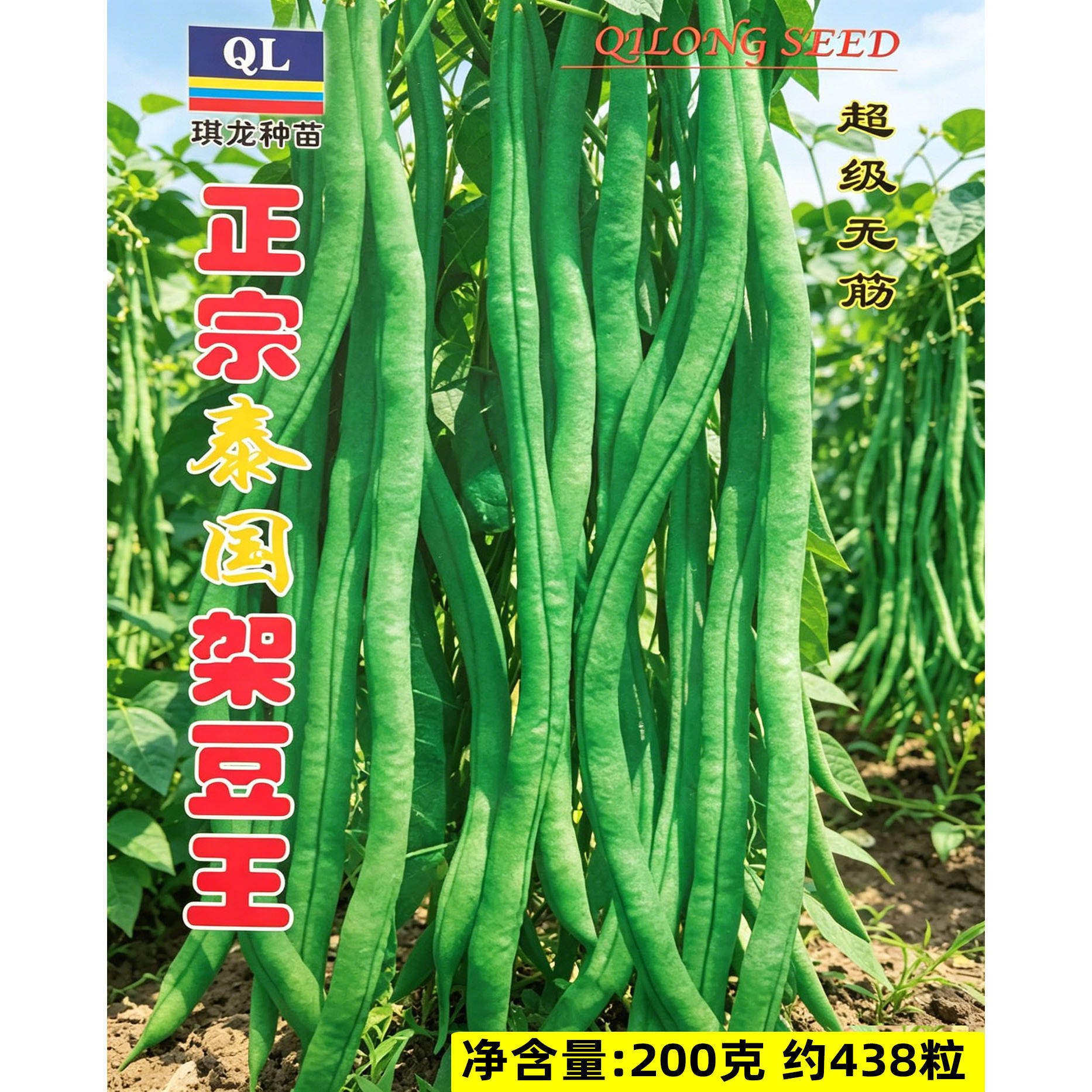 寿光蔬菜种子正宗泰国架豆王特长芸豆四季豆四季种籽蔬菜春季种孑