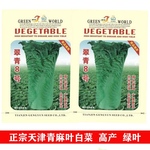 翠青8号大白菜种子天津青麻叶