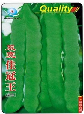 寿光蔬菜种子 双宽佳冠王芸豆冬春播大棚露地四季豆春秋春季种籽