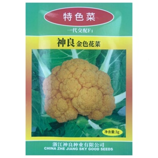 神良金色花菜种子黄色花椰菜种籽四季菜花水果法国日本流行秋春季
