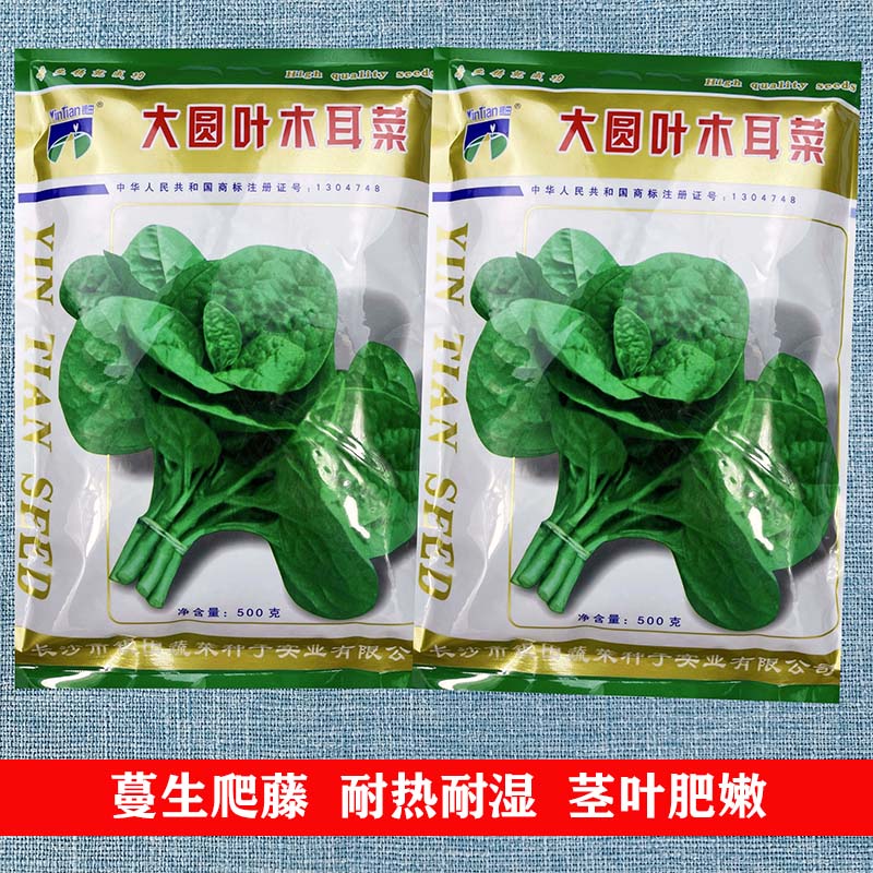 大圆叶木耳菜种籽青菜蔬菜种子四季春秋冬春季种孑木耳菜菜苗菜子