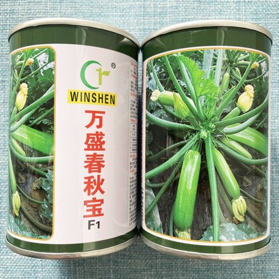 万盛春秋宝F1西葫芦种子高产