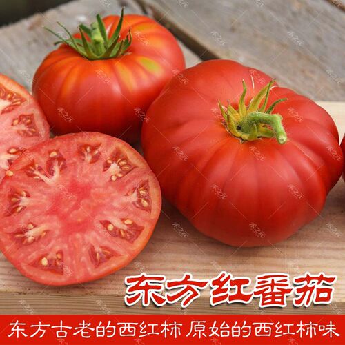 农家古老东方红太空巨型番茄种子