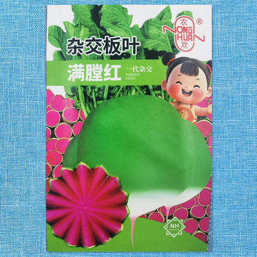 农欢心里美萝卜种子满膛红