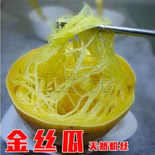 金丝搅瓜种子金丝瓜四季蔬菜种孑