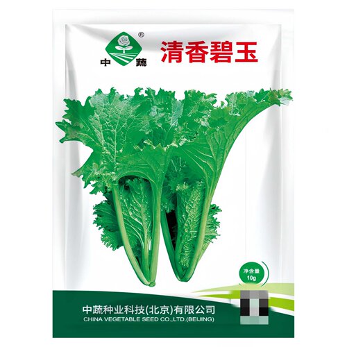 清香碧玉叶用芥菜种子