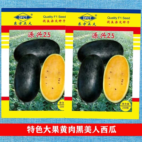 Юансинг 25 черная кожа Желтые арбузы