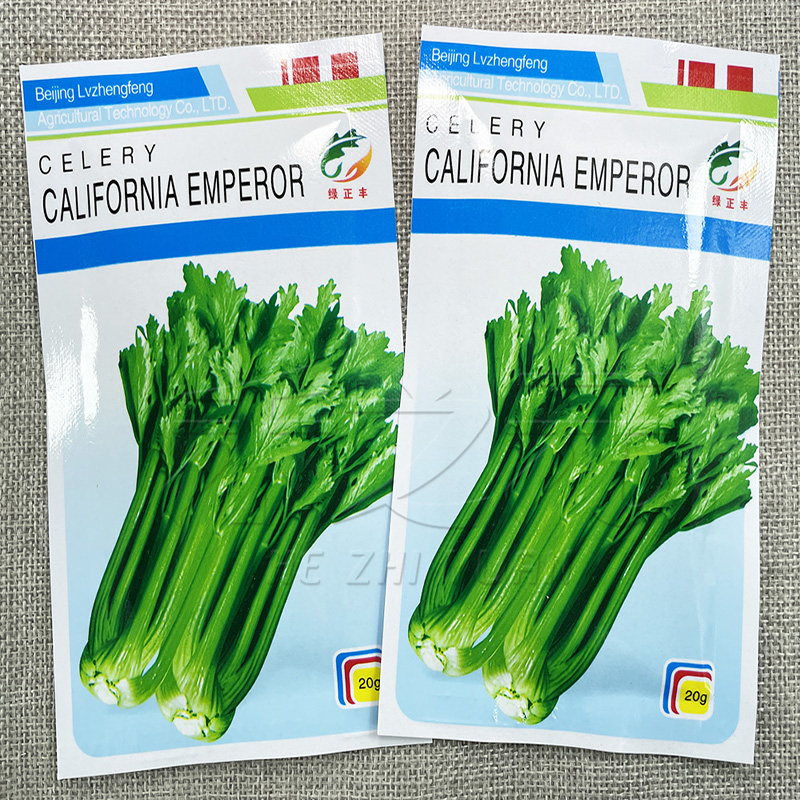 加州王芹菜种籽西芹蔬菜种子绿色
