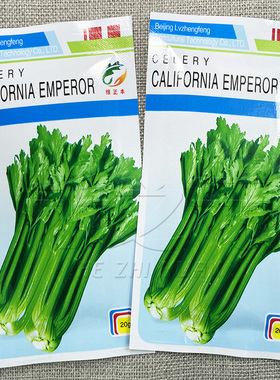 加州王芹菜种籽西芹四季蔬菜青菜西芹种子春夏秋冬香芹种籽孑绿色