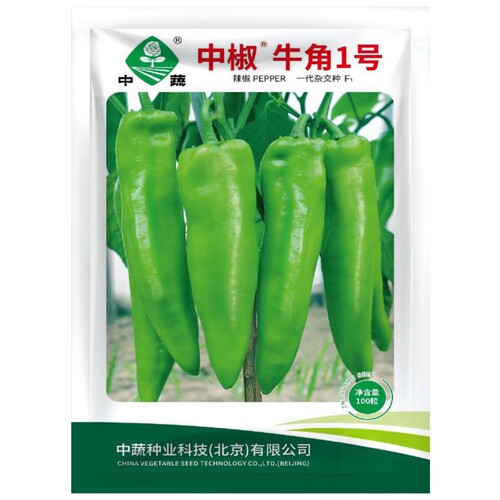 中椒牛角1号牛角椒种子