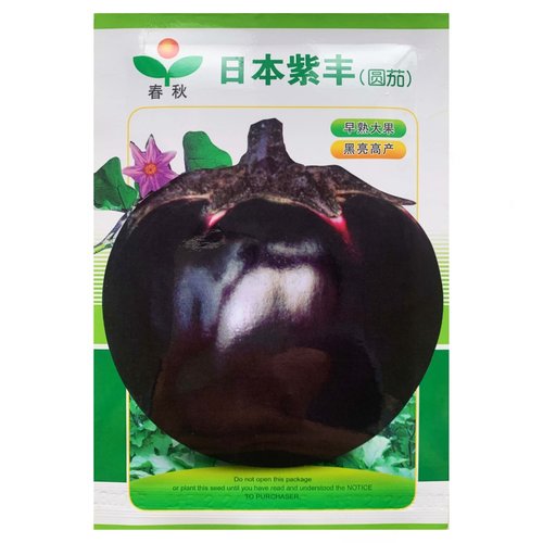 蔬菜日本紫丰春秋冬季圆茄子