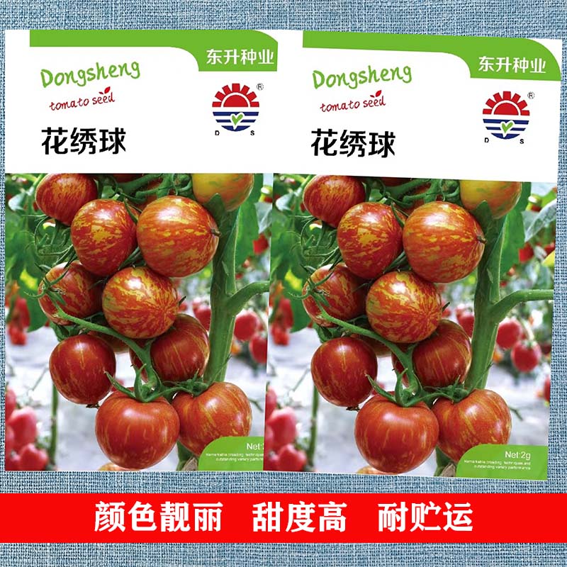 蔬菜花绣球虎纹彩色四季番茄种子