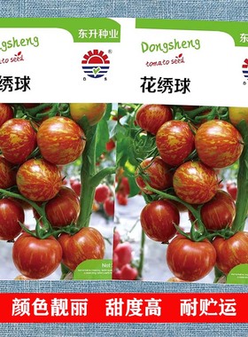 花绣球虎纹番茄种子盆栽虎皮水果彩色春秋樱桃四季西红柿蔬菜种孑
