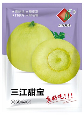 三江甜宝甜瓜种子香瓜特大白种籽春季早熟四季种孑水果种子禾之元
