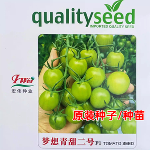 梦想青甜2号二号番茄苗种籽青口蜜秧苗樱桃西红柿种子春四季蔬菜