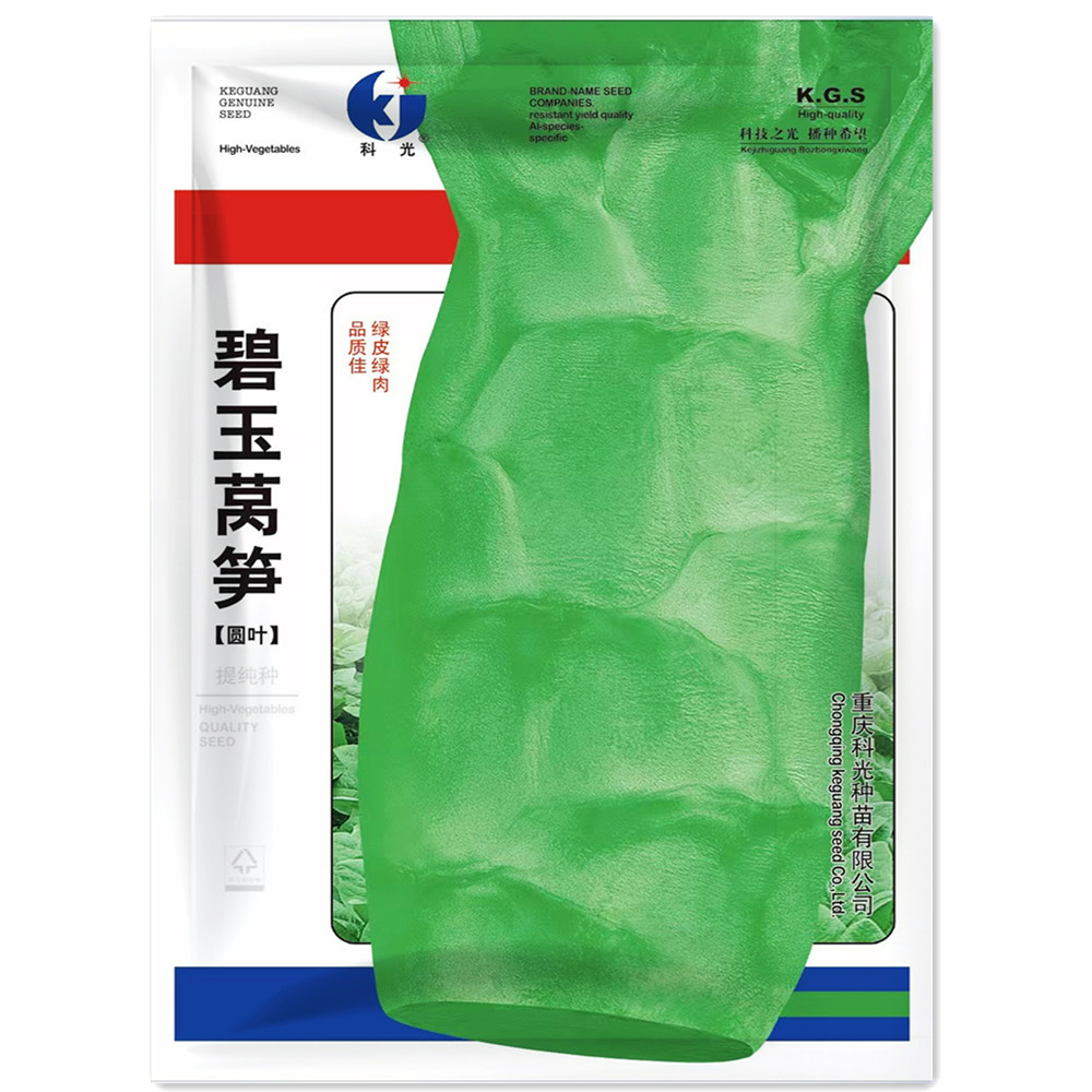 蔬菜香莴笋秋冬季种子