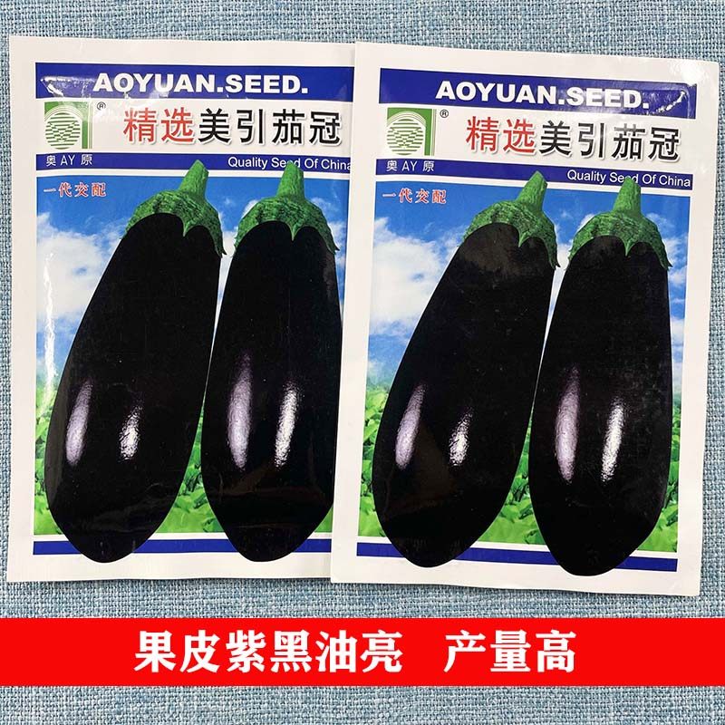 精选美引茄冠种子圆长茄子农家原生态蔬菜四季种籽茄子种孑禾之元,鲜花速递/花卉仿真/绿植园艺,家庭园艺种子,淘宝优惠券,粉丝福利购,淘宝优惠卷