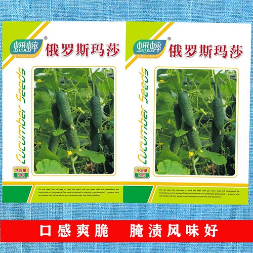 俄罗斯玛莎水果黄瓜种