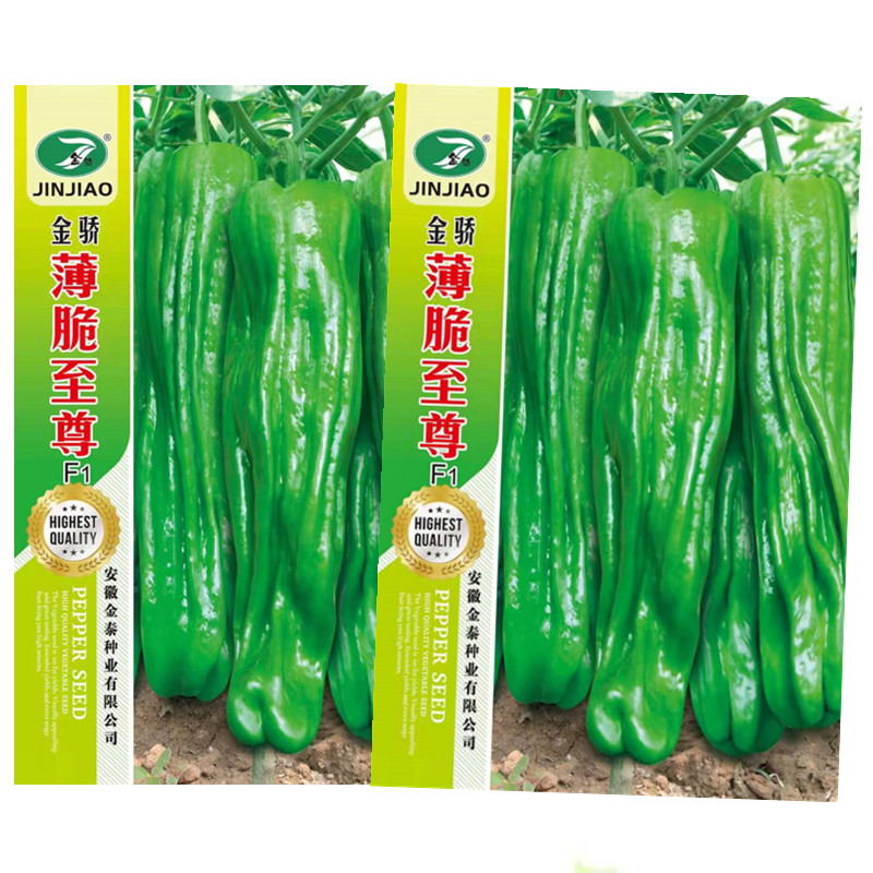 蔬菜高产春季南方辣椒种子