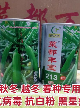 菜都丰宝213西葫芦种子高产早春秋季越冬蔬菜种孑菜瓜番瓜禾之元