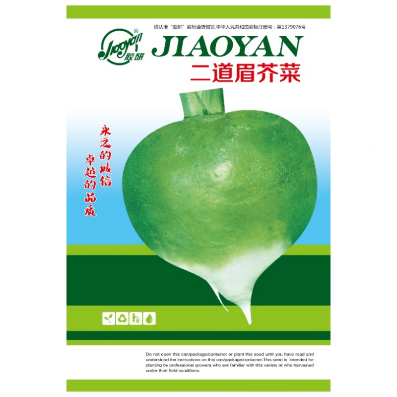 胶研二道眉根芥菜种子芥菜头