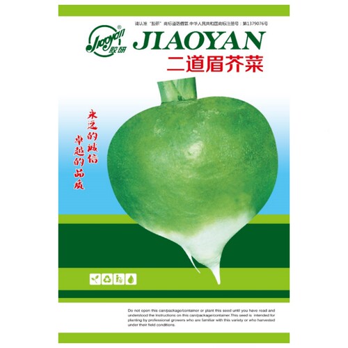 胶研二道眉根芥菜种子芥菜头