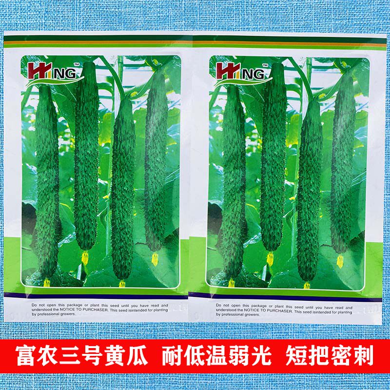 寿光蔬菜种子荷兰引进富农三号优质黄瓜种籽冬天耐低温大棚早春孑