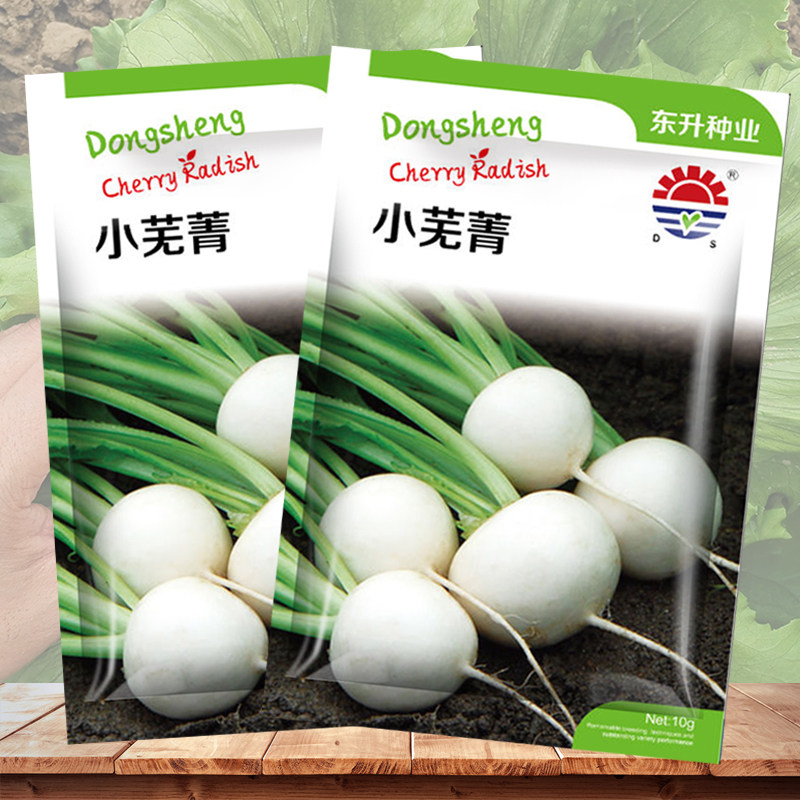 蔬菜阳台盆栽四季水果樱桃萝卜