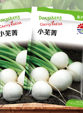 小芜菁种籽白樱桃萝卜种子阳台盆栽四季水果禾之元种业蔬菜种孑