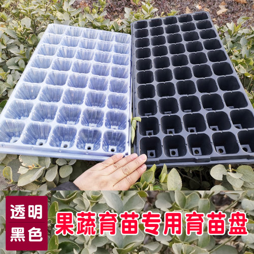 种菜基质大棚通用盆栽育苗盘