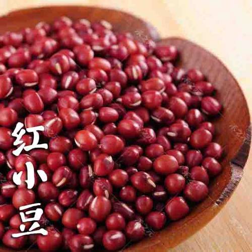 红小豆种子杂粮种孑无架