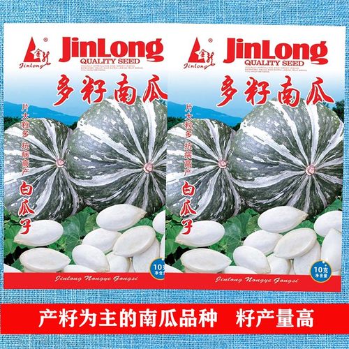 春季瓜籽四季种孑南瓜种子