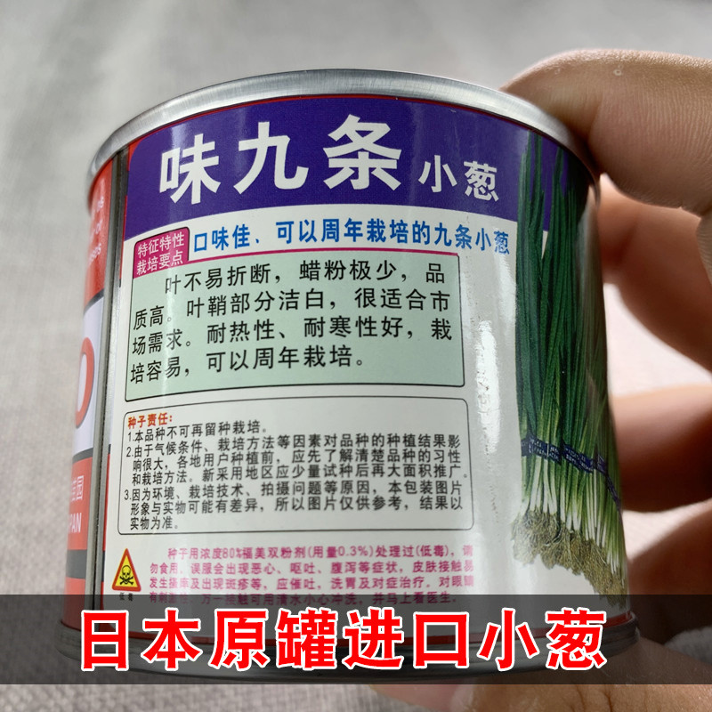 日本武藏野味九条小香葱种子进口蔬菜四季小葱种籽高产春秋冬菜种