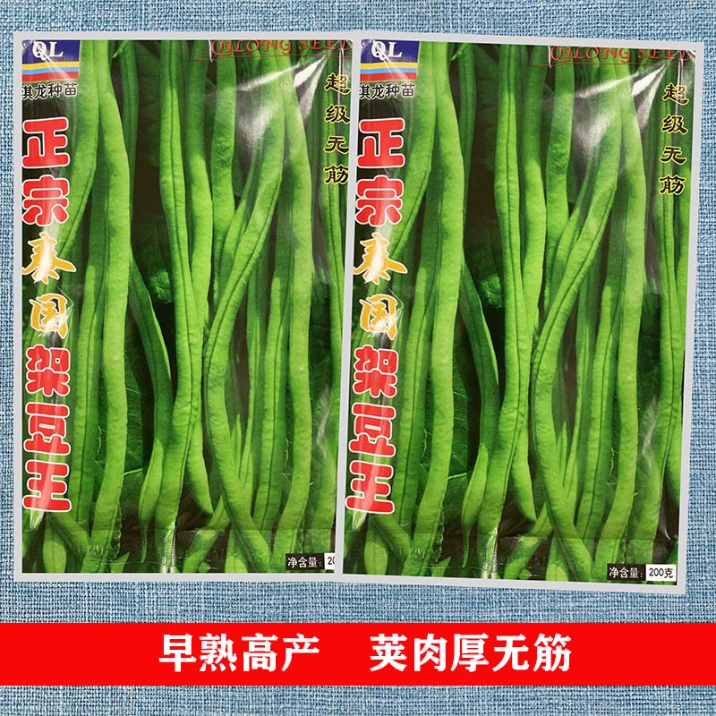 寿光蔬菜泰国架豆王芸豆四季豆