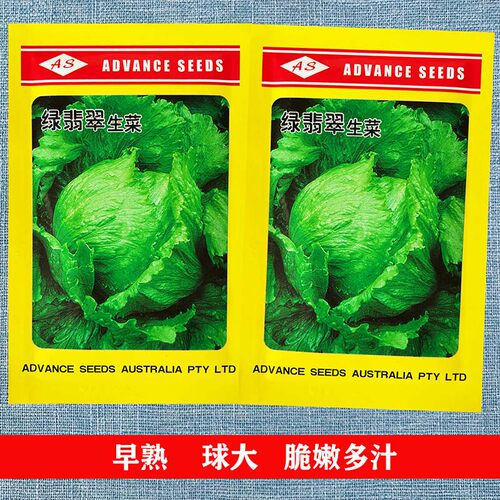 绿翡翠美国进口高端四季结球生菜