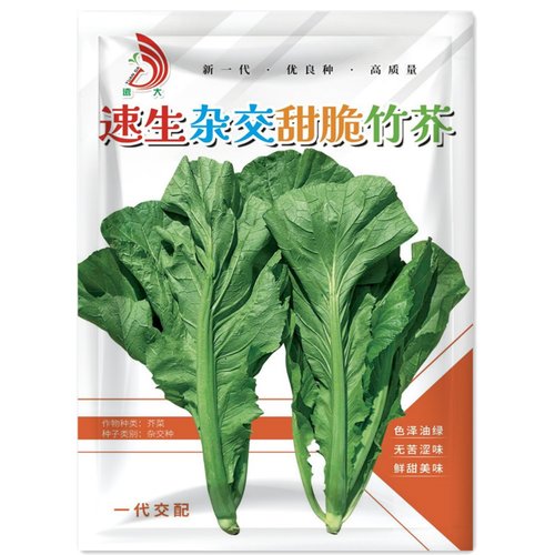 水东芥菜卷心大芥菜种子蔬菜四季播春菜种籽种孑秋冬季蔬菜种子 - 封面