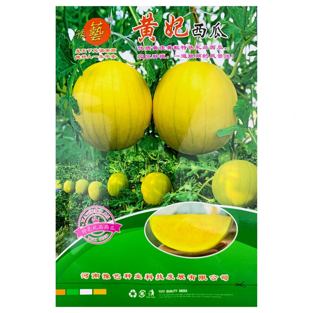 黄妃西瓜种子黄皮黄瓤西瓜种籽四季早春红玉黄心麒麟瓜苗瓜种孑