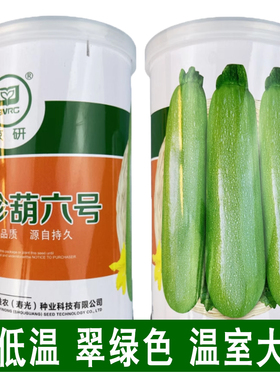 珍葫六号西葫芦种子翠绿色冬季大棚温室越冬早春季西葫芦籽耐低温