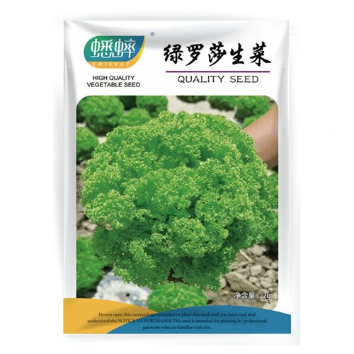 绿罗莎生菜种子软嫩爽口