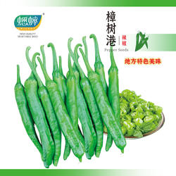 蟋蟀牌樟树港辣椒苗秧苗种子尖椒种籽春秋羊角种籽禾之元蔬菜种孑