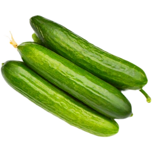 Компания Израиля Хезела Семя Стокгольм Огурец Семена Фрукты Семена огурца четыре сезона весны и осенние семена огурца