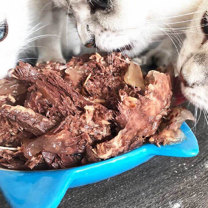 实惠金枪鱼牛肉零食主食猫罐头
