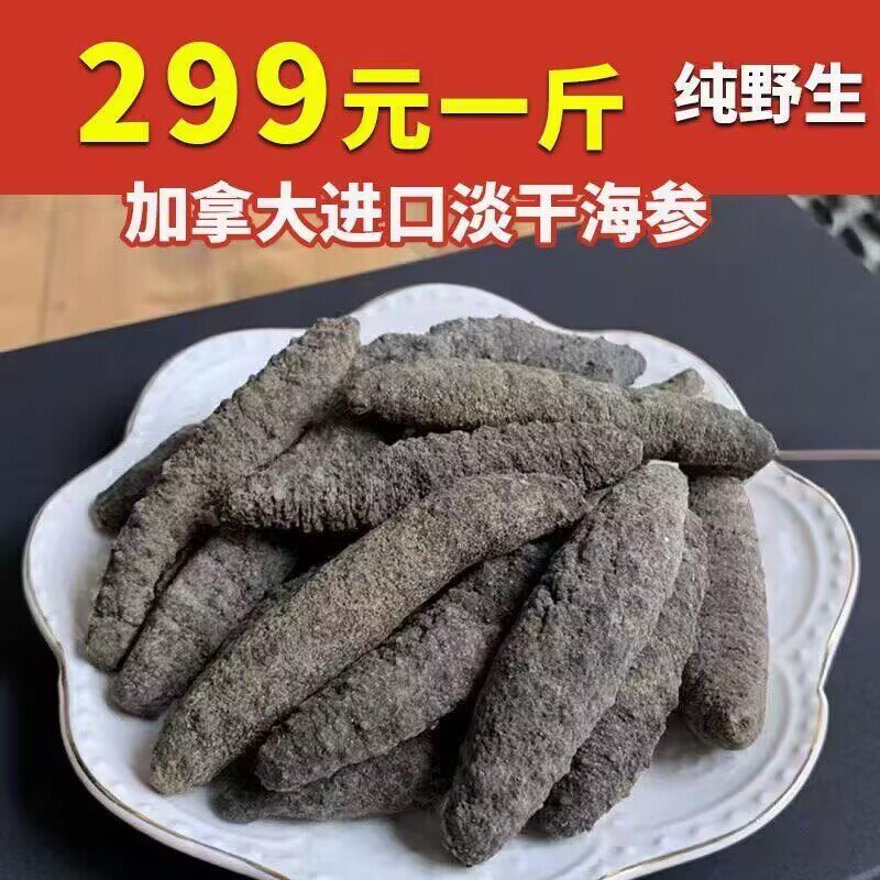 进口野生北极参加拿大海参干货淡干小有刺参经济实惠非即食辽刺参