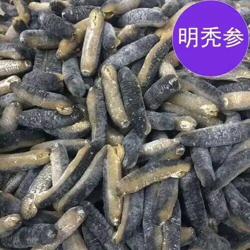 澳洲明秃海参 明秃参沙秃参光秃参白沙参黄金秃深海淡干海参干货