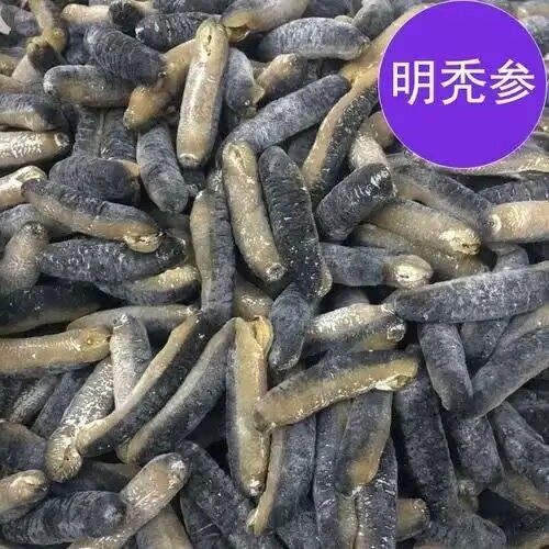 澳洲明秃海参干黄金参沙秃参光秃参纯天然深海野生淡干海产品干货