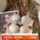 无痕一片式 美背内衣女小胸聚拢加厚显大2025新款 收副乳无钢圈文胸