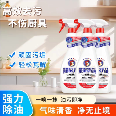 大瓶装厨房去油污清洁泡沫喷雾