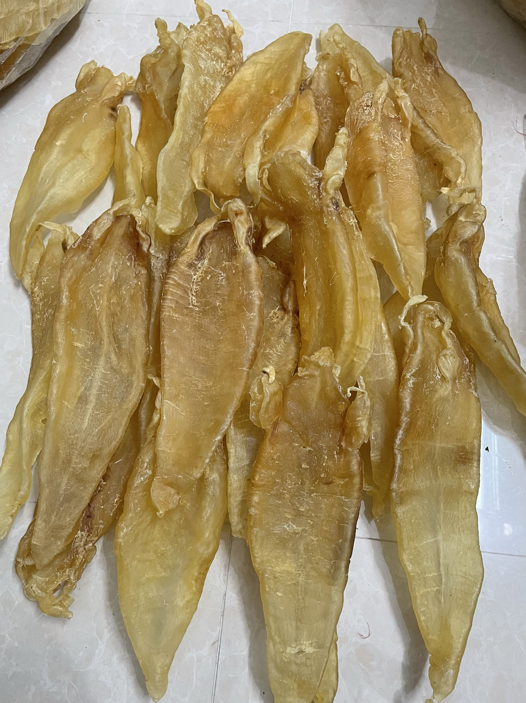 7年陈2.6头一斤北海母胶柔透肉补胶原蛋白美容养颜坐月子老胶送礼